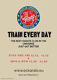 Train Every Day